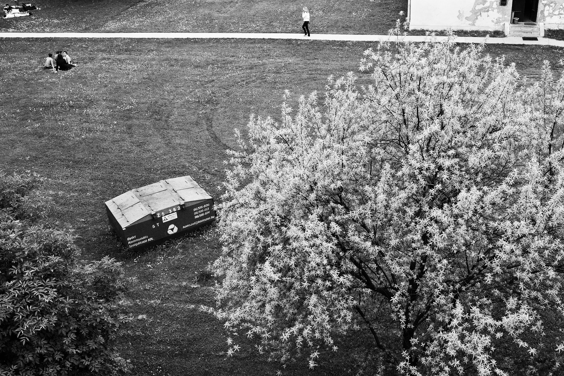 Elsewhere-14