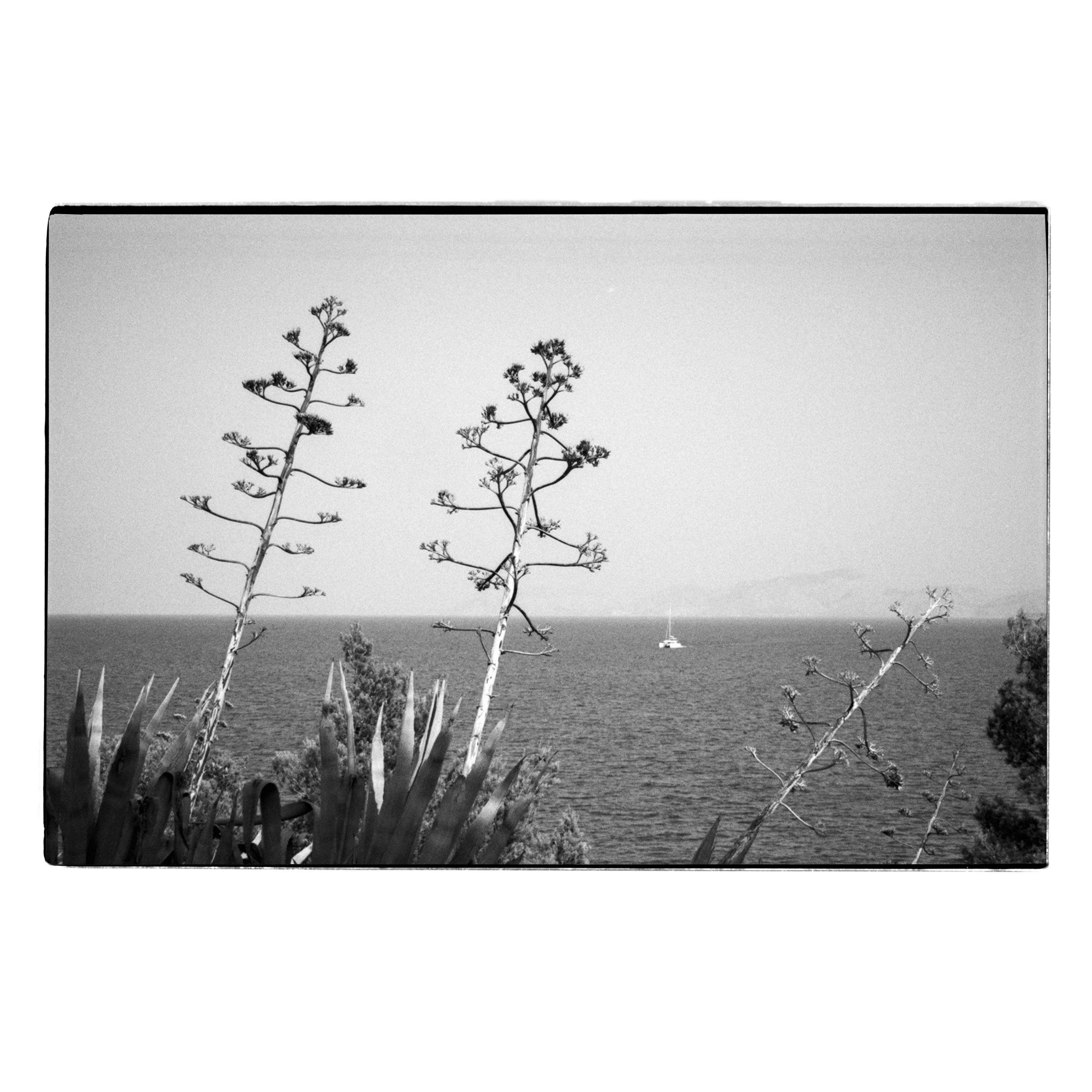 Exploring of the metamorphosis-8