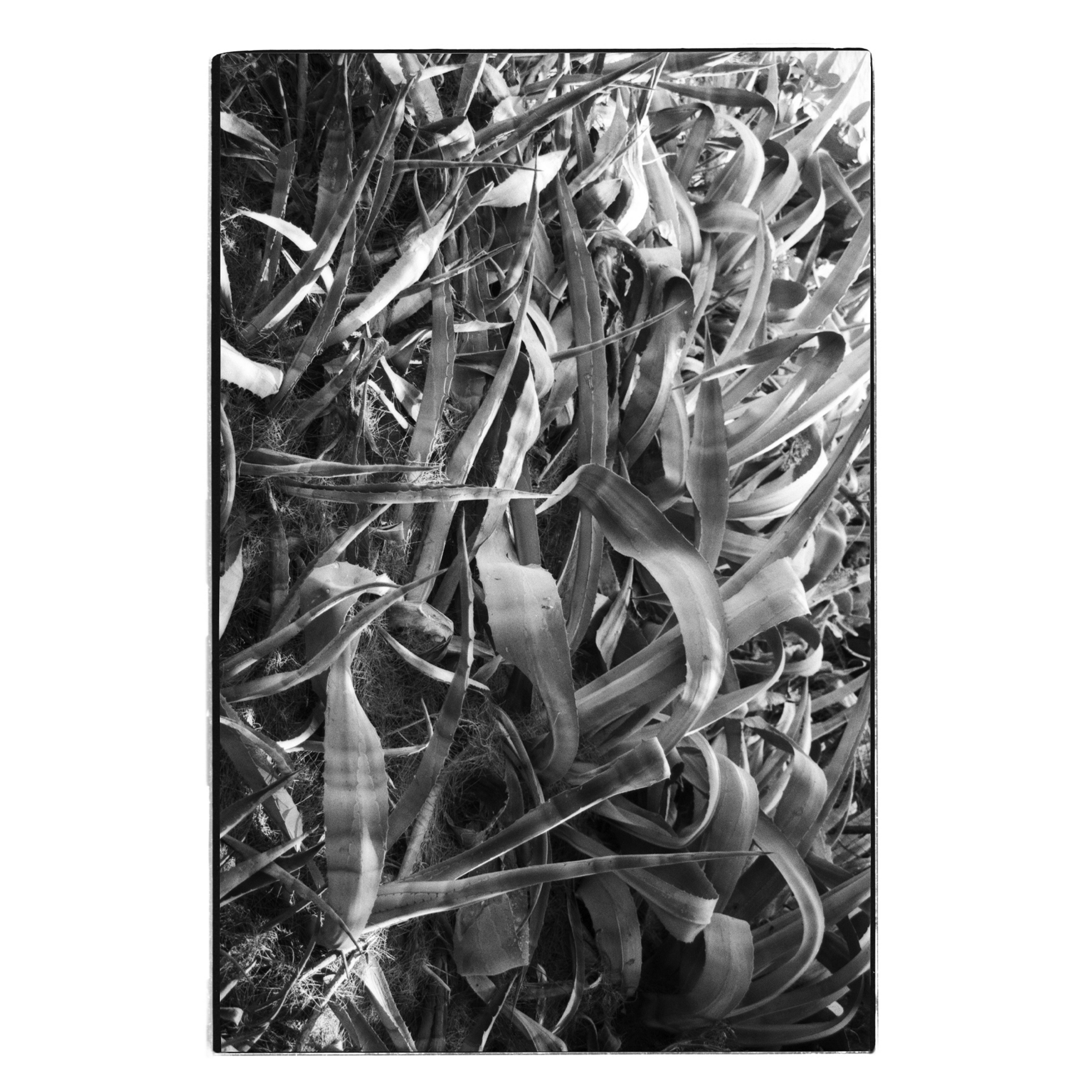 Exploring of the metamorphosis-9