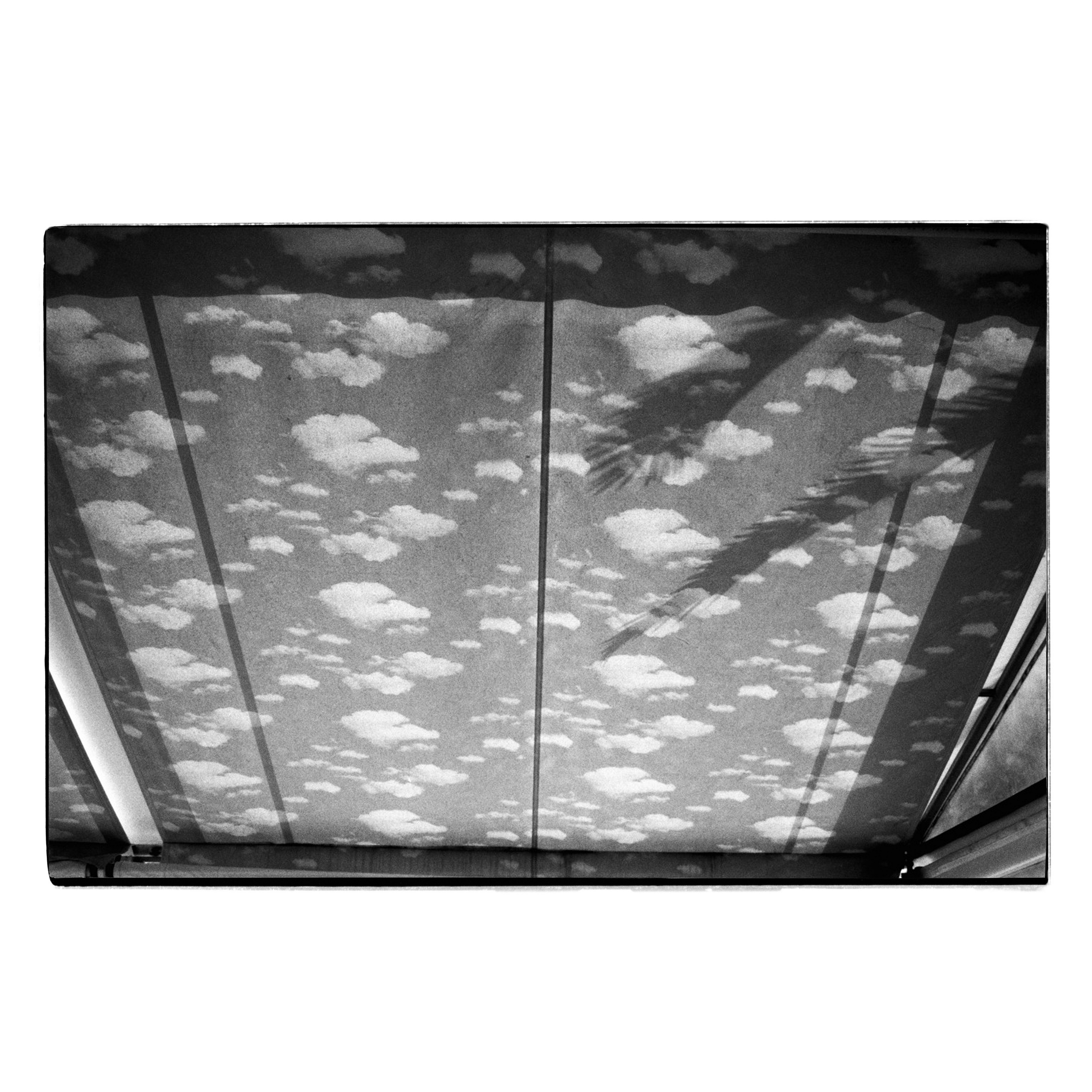Exploring of the metamorphosis-12