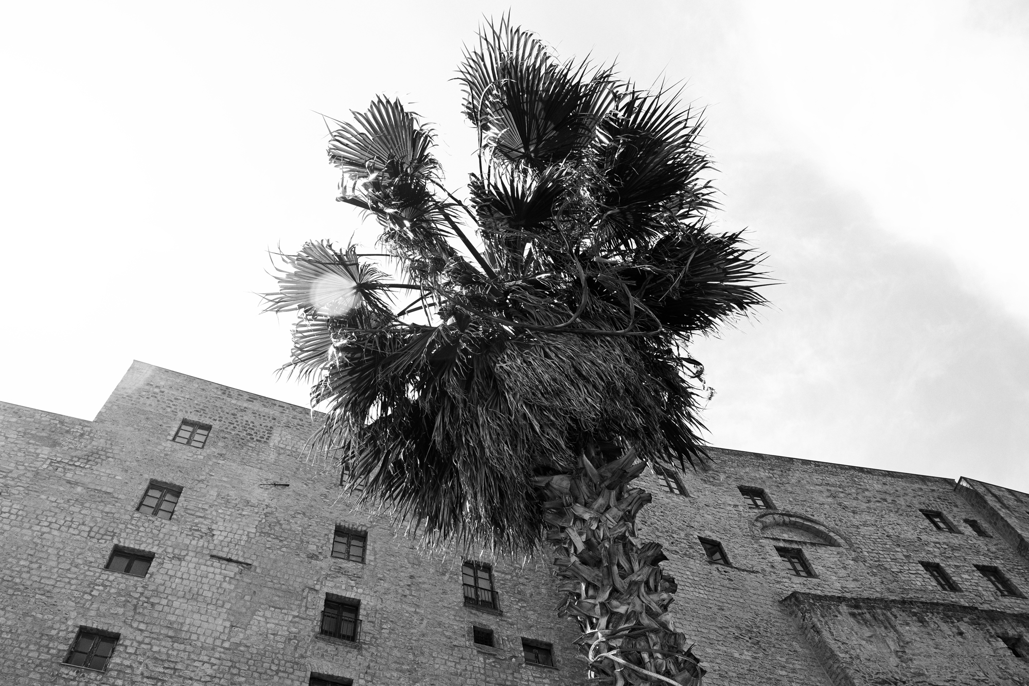 Naples-9