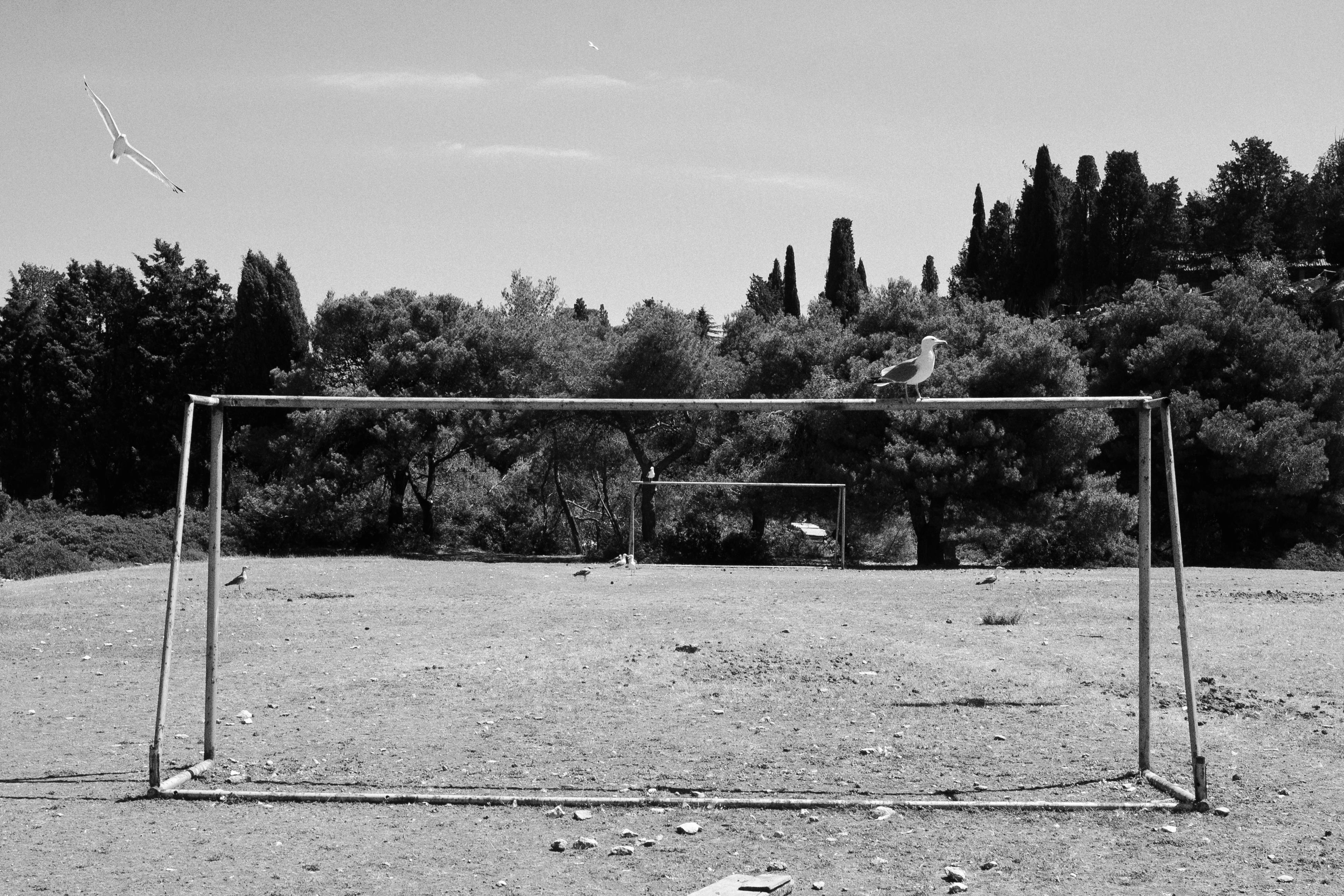 Pula-3