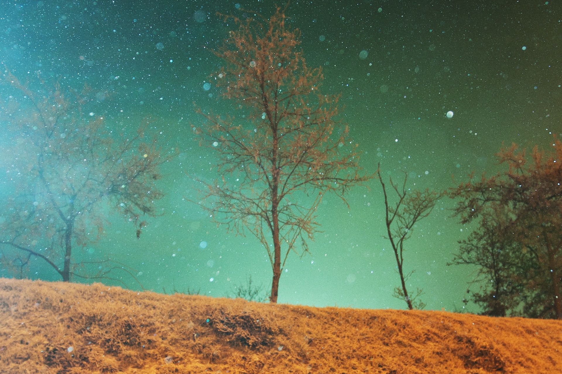 Self-Screenplay-3