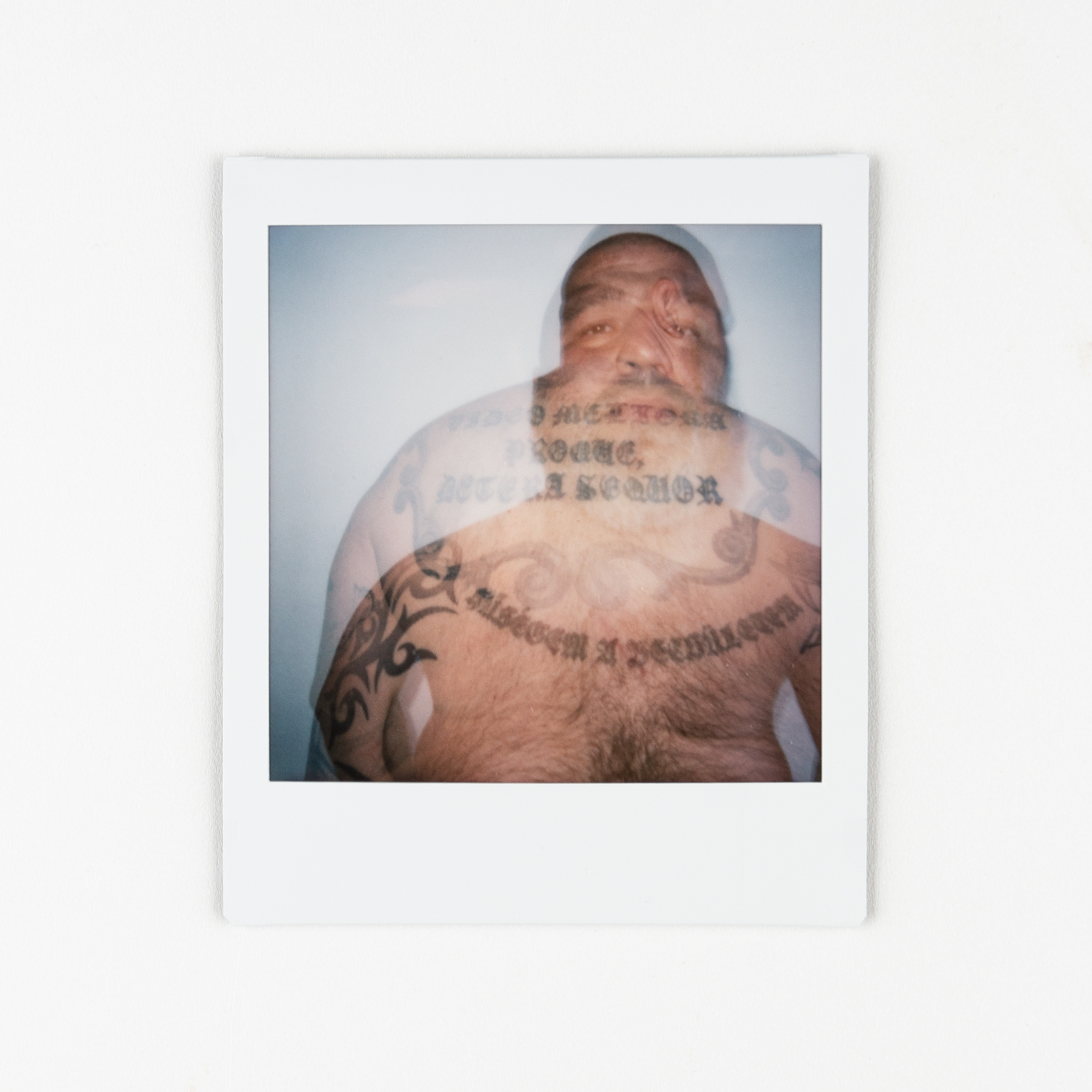 SiGNs-5