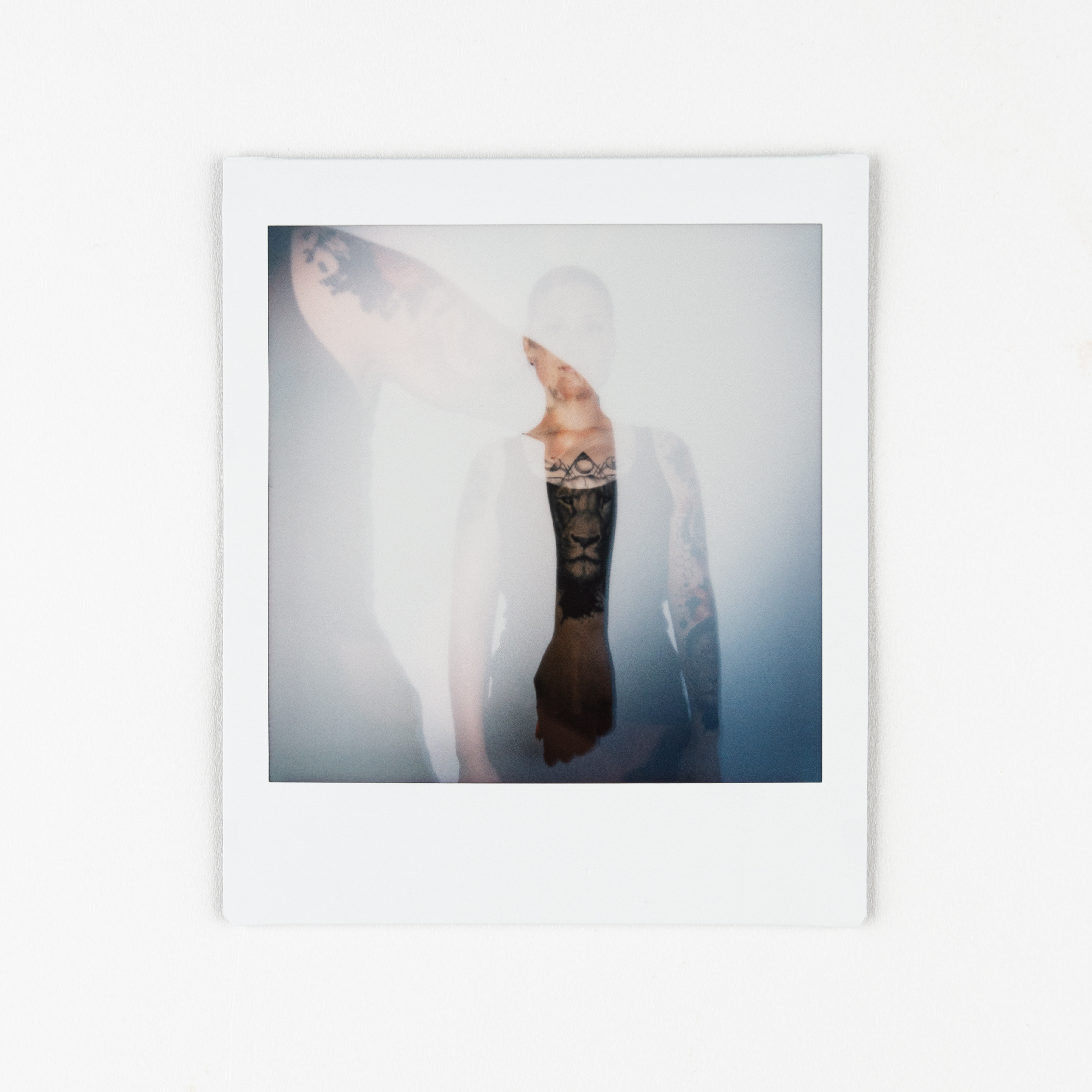 SiGNs-6