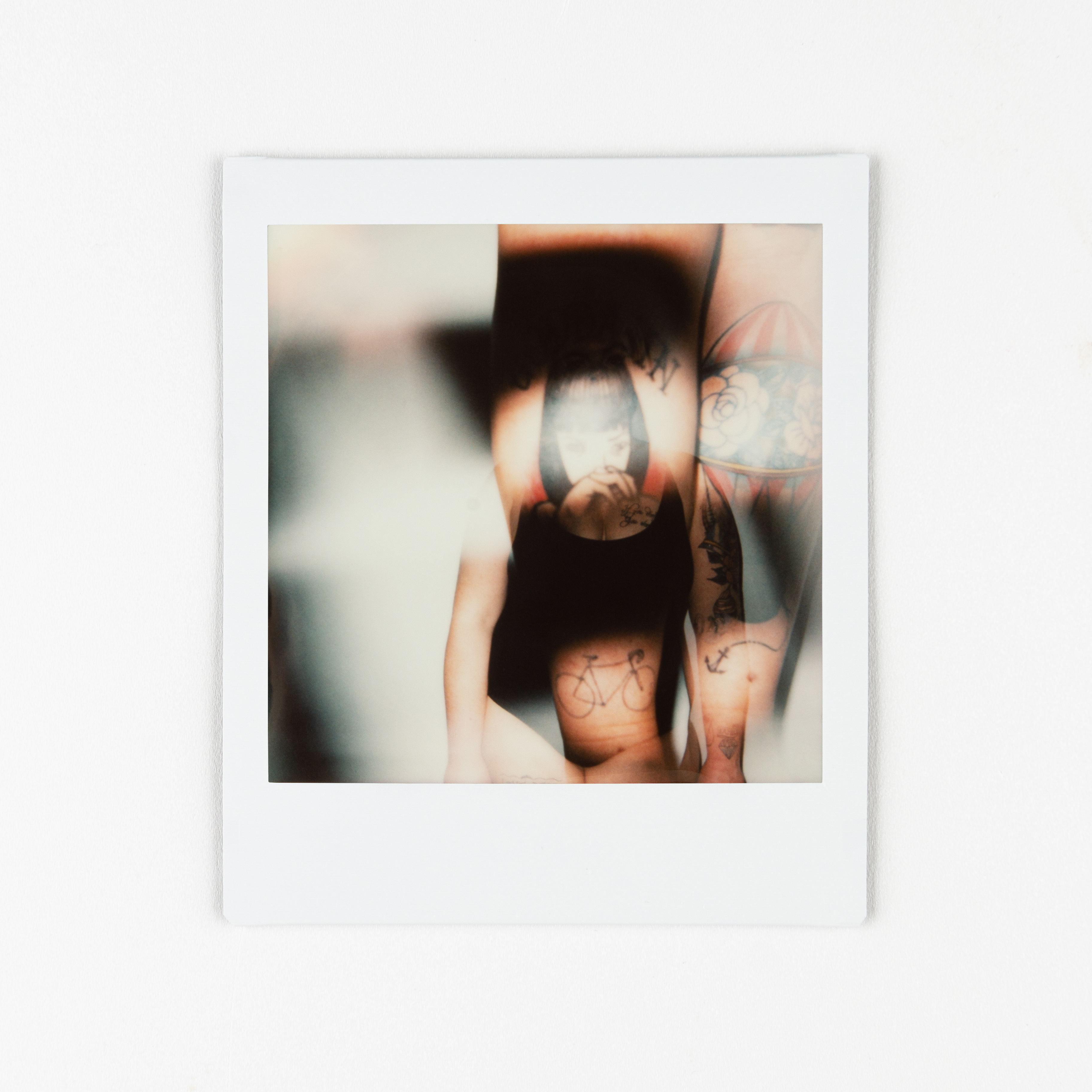 SiGNs-8