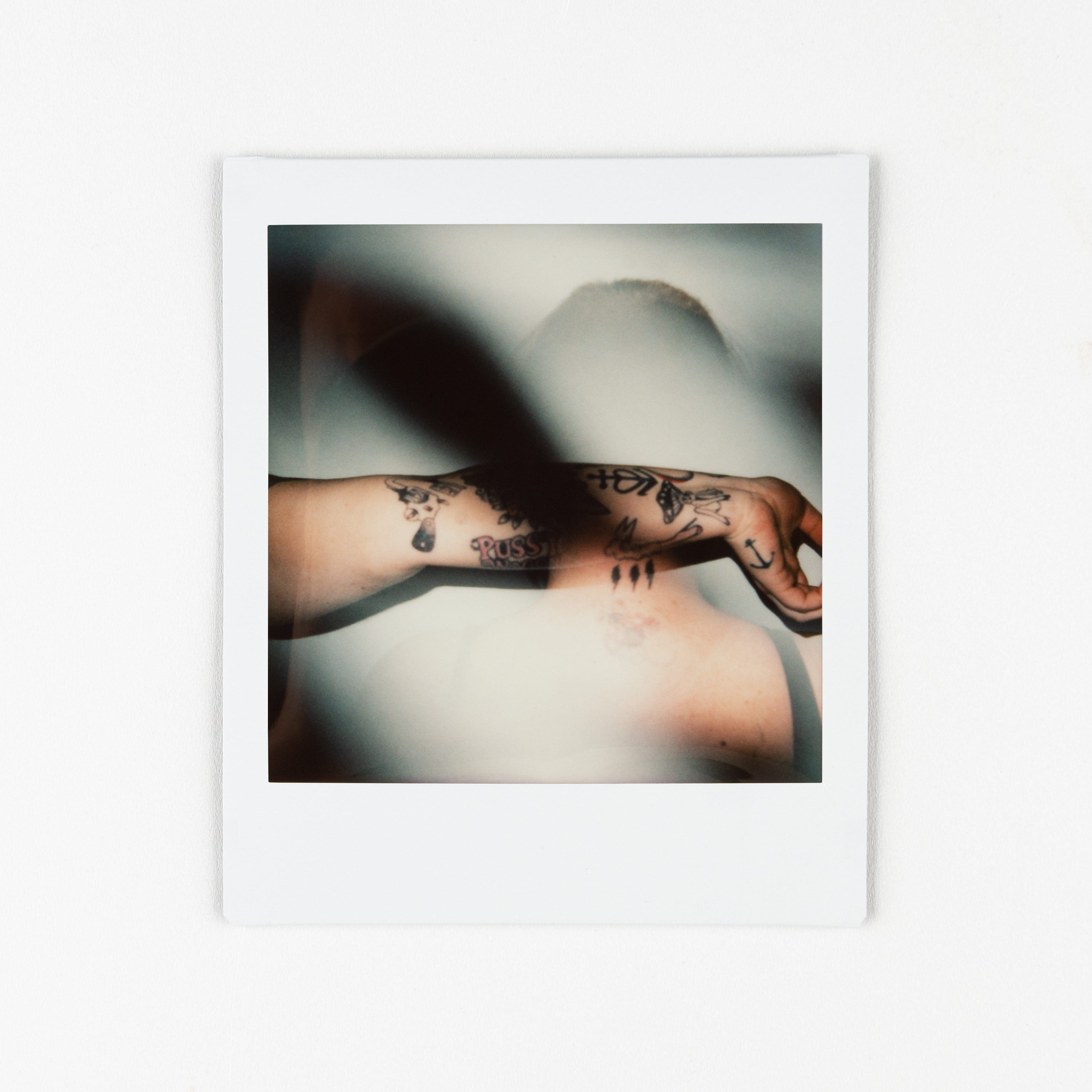 SiGNs-12