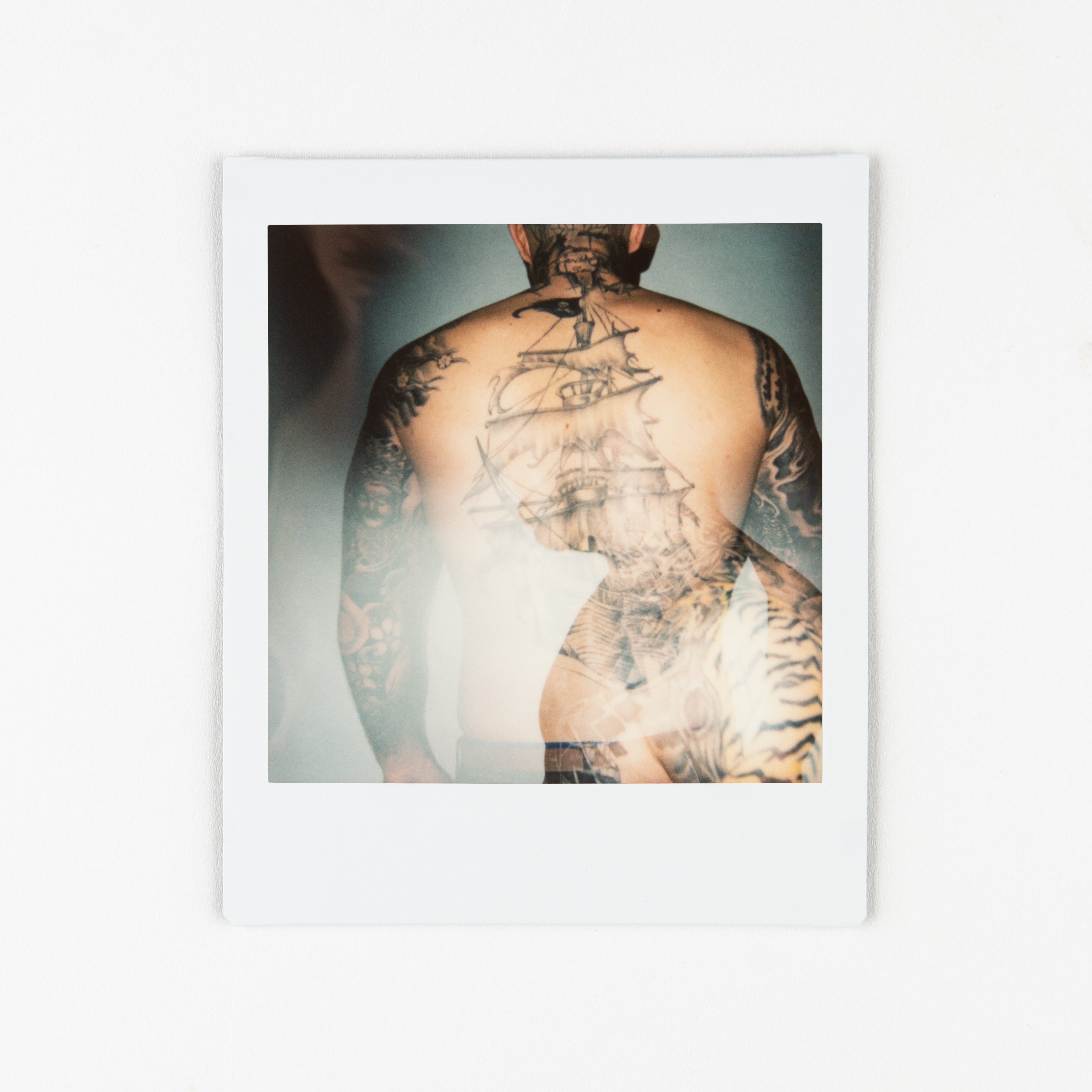 SiGNs-14