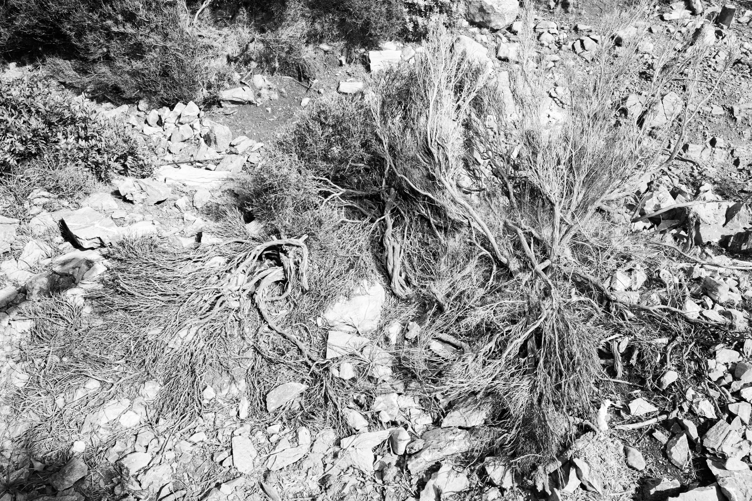 Sporades-5