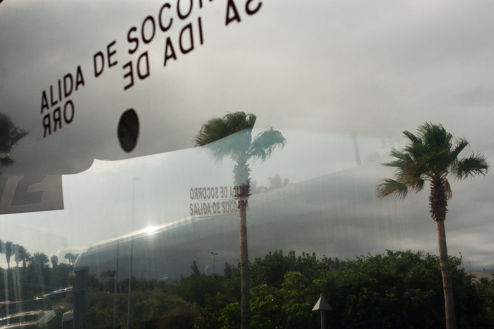 Tenerife-1